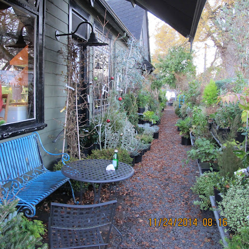 Photo of Demitasse Cafe & Garden Centre - 2164 McNeill Ave, Victoria, BC V8S 4N7